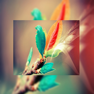 欧美在线成人午夜影视
